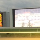 本日の競馬結果