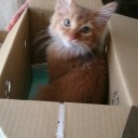 はじめまして