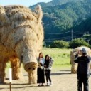 何処かへ出掛けたい。何処かへ出掛けたい。何処かへ出掛けたい。何処かへ出掛けたい。何処かへ出掛けたい。何処かへ出掛けたい。