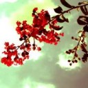 至福