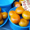 第8回 立花スタンプバル(前バル)参加しました。(2)