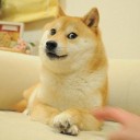 magic:the gathering 柴犬