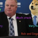 magic:the gathering 柴犬