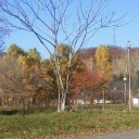 朝日ヶ森学園、ロケ地に決定。