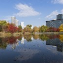 中島公園