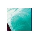 浅瀬虫なんかポケモンチックなやつが映り込んでる