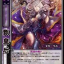 【三国志大戦TCG】10弾勇姫の我欲、南蛮の戦い、甄皇后