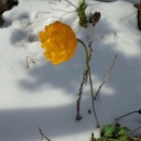 2014年10月29日（水）