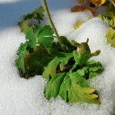 2014年10月29日（水）