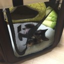 48日目