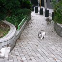 久々にゆるり街歩き。