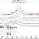 りすも杜には還れない。