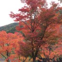 やまのふもとのすそもよう。