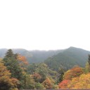 やまのふもとのすそもよう。