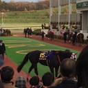 うわー、マジか！＞スプリントとレディース