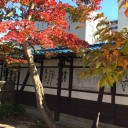 盛岡紅葉散歩つづき