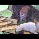これから・・・