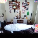 ノンスタ井上んちの白イルカの