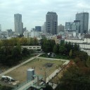 今になって