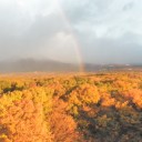 旅行の思い出（那須）