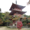 諸々の話(11/8)
