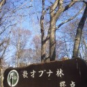 りすの前に道はない。(^。^;)