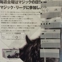 【大会結果】　１１月マジックリーグ　１１月８日
