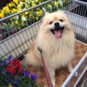 今こそ根活