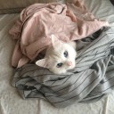すりむぼでーアブザン