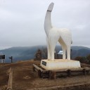 2014/11/09 陣馬山～高尾山縦走
