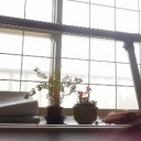 おはようございます。