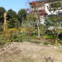 紅葉の秋　本番