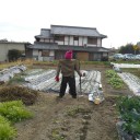 案山子写真