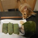 お天気がいいので