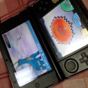 ユクシーつかまえた！