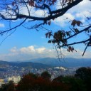 暖かい日。