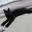 しまじろうぼっちゃまとくろすけじょうちゃま・・・