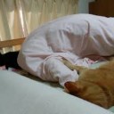 しまじろうぼっちゃまとくろすけじょうちゃま・・・