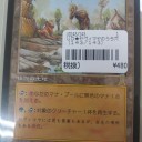 買取カード紹介