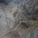 サイタマ－前泊からの坂本→八丁峠→両神山