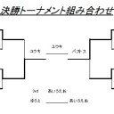 第25回みらチャン杯[2014/11/30]　結果報告