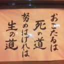 ハゲれば…？(;・ω・)