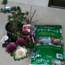 ちょっと早い松竹梅を作る！