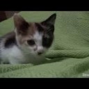 まいにち・・・・