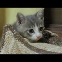 まいにち・・・・