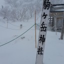 ブリザードがあらわれた！　コマンド？