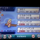 きたぁー