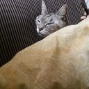 お布団だいすき！再び