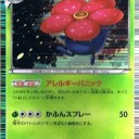 アレルギーパニックで４倍弱点をつく with パチリス