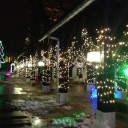【富山県砺波市】チューリップ公園　KIRAKIRAミッション2014